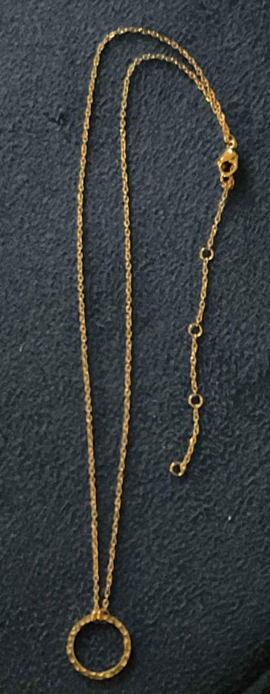 Gold Tone Minimalist Hammered Circle Necklace 19 Inches Long