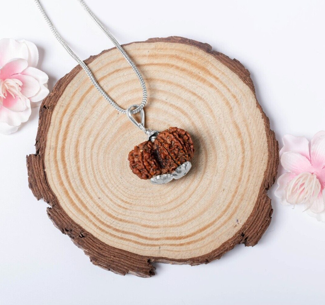 Certified Gauri Shankar Rudraksha Bead 925 Silver Pendant Spiritual Necklace