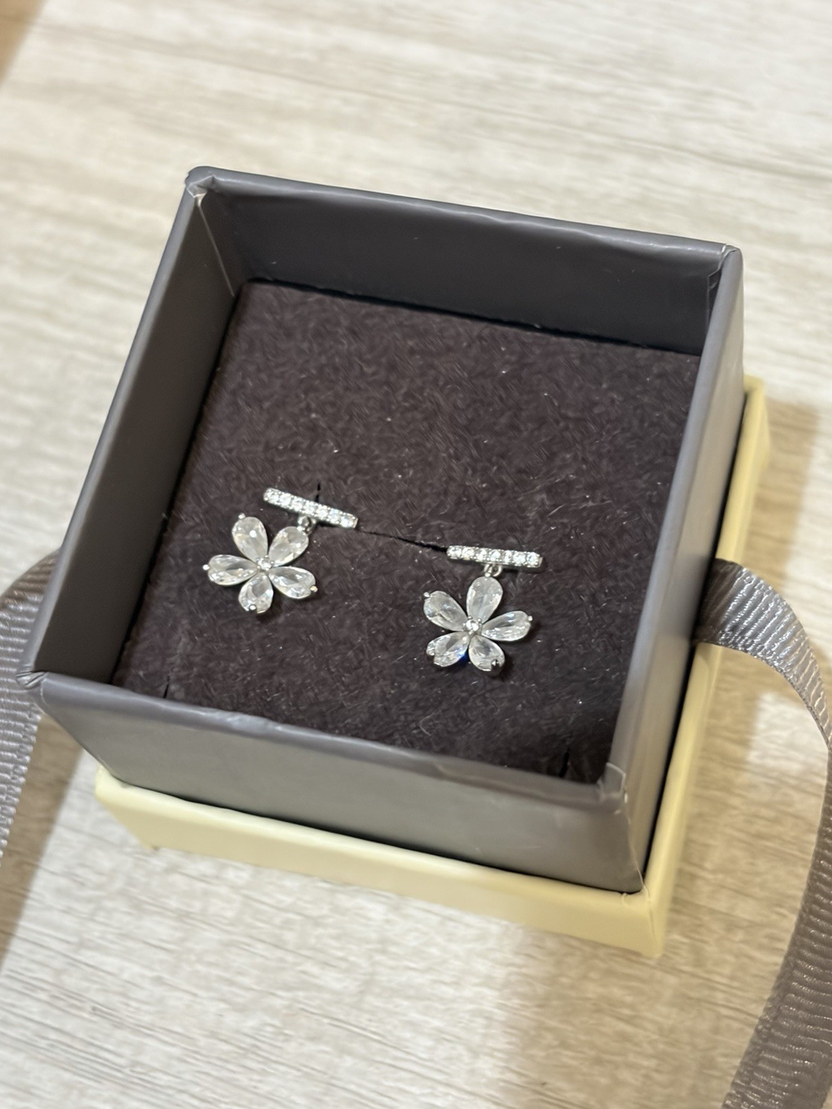 Silver Earrings So CHIC Brand New Without Tags In Original Box