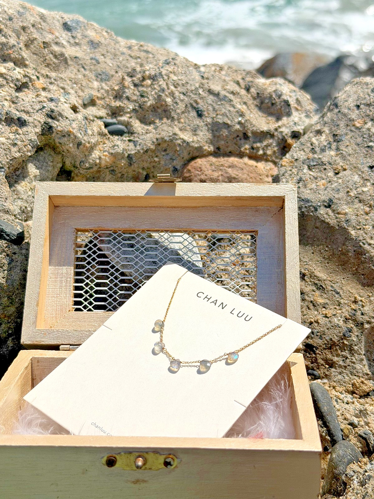 Chan Luu Necklace Labradorite on Gold Chain Tiny Teardrops Dainty Looker NWT