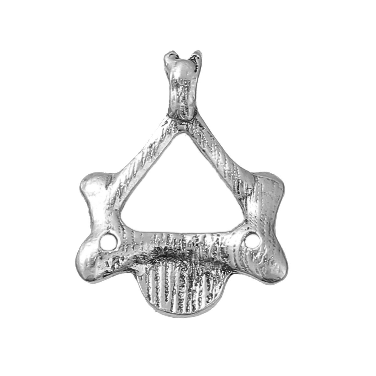 Sexy Sparkles Medical Anatomical 3D Human Cervical Vertebra Charm Pendant for Ne