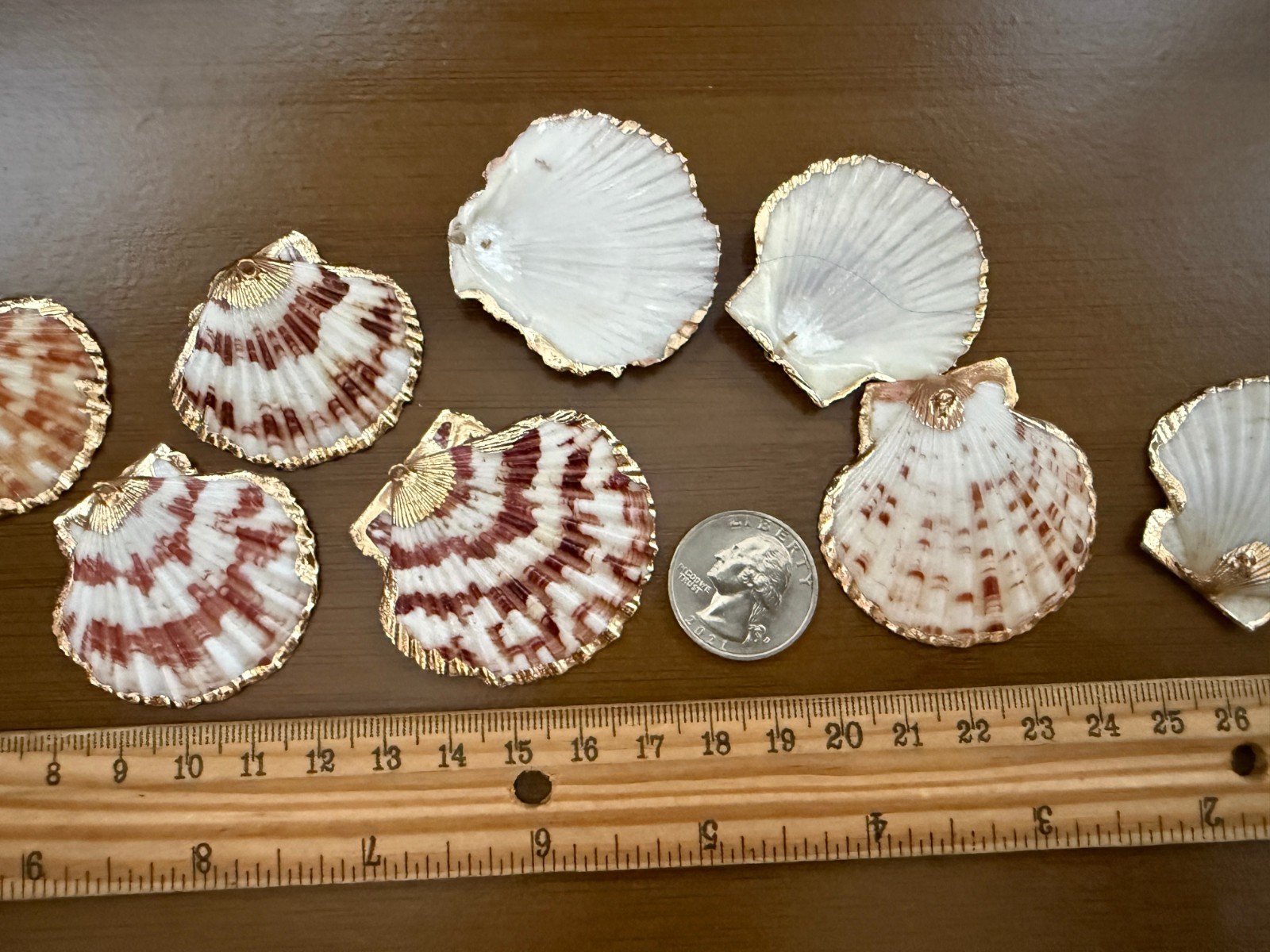 3PC Natural Scallop Shell Pendant, Gold Edge, Deep Sea Shell, Shell Necklace