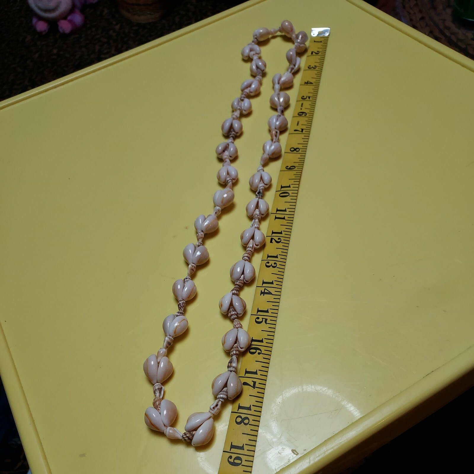 Cowrie sea shell necklace 38 inches