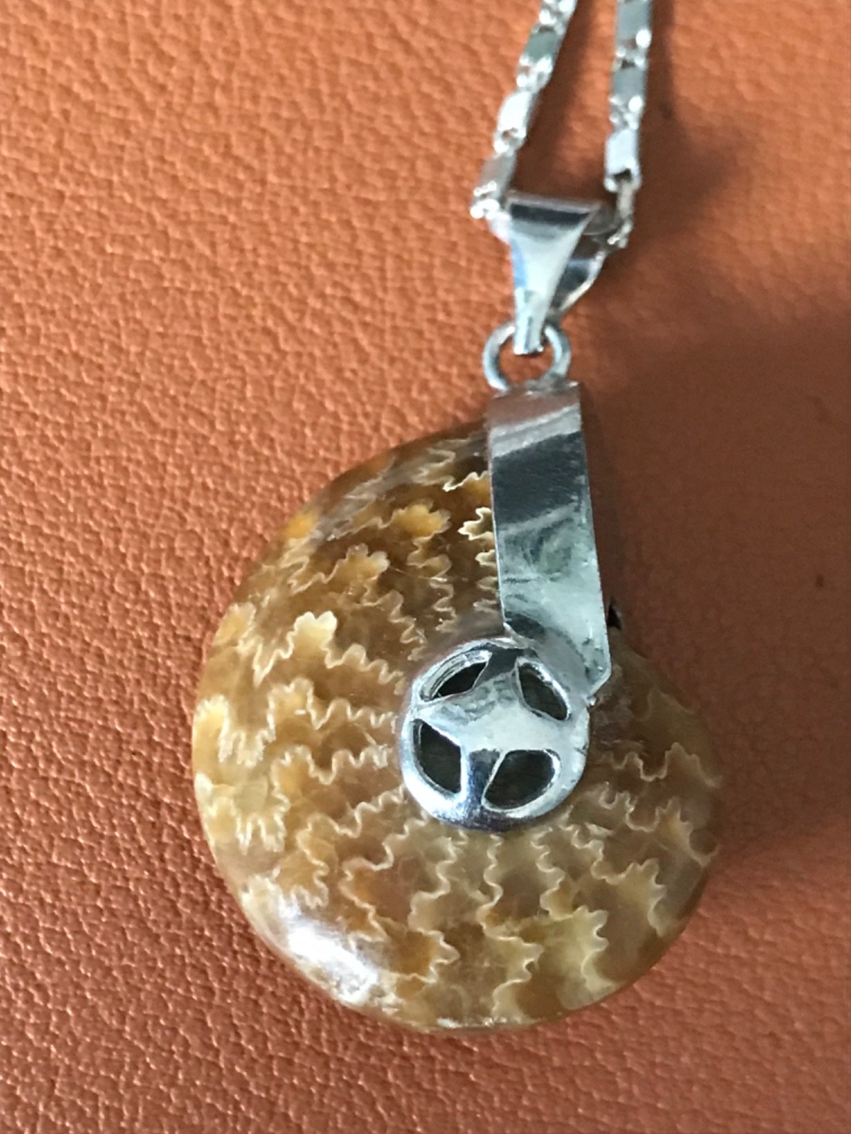 Ammonite Fossil Spiral Pendant WITH Necklace – Polished Prehistoric Shell