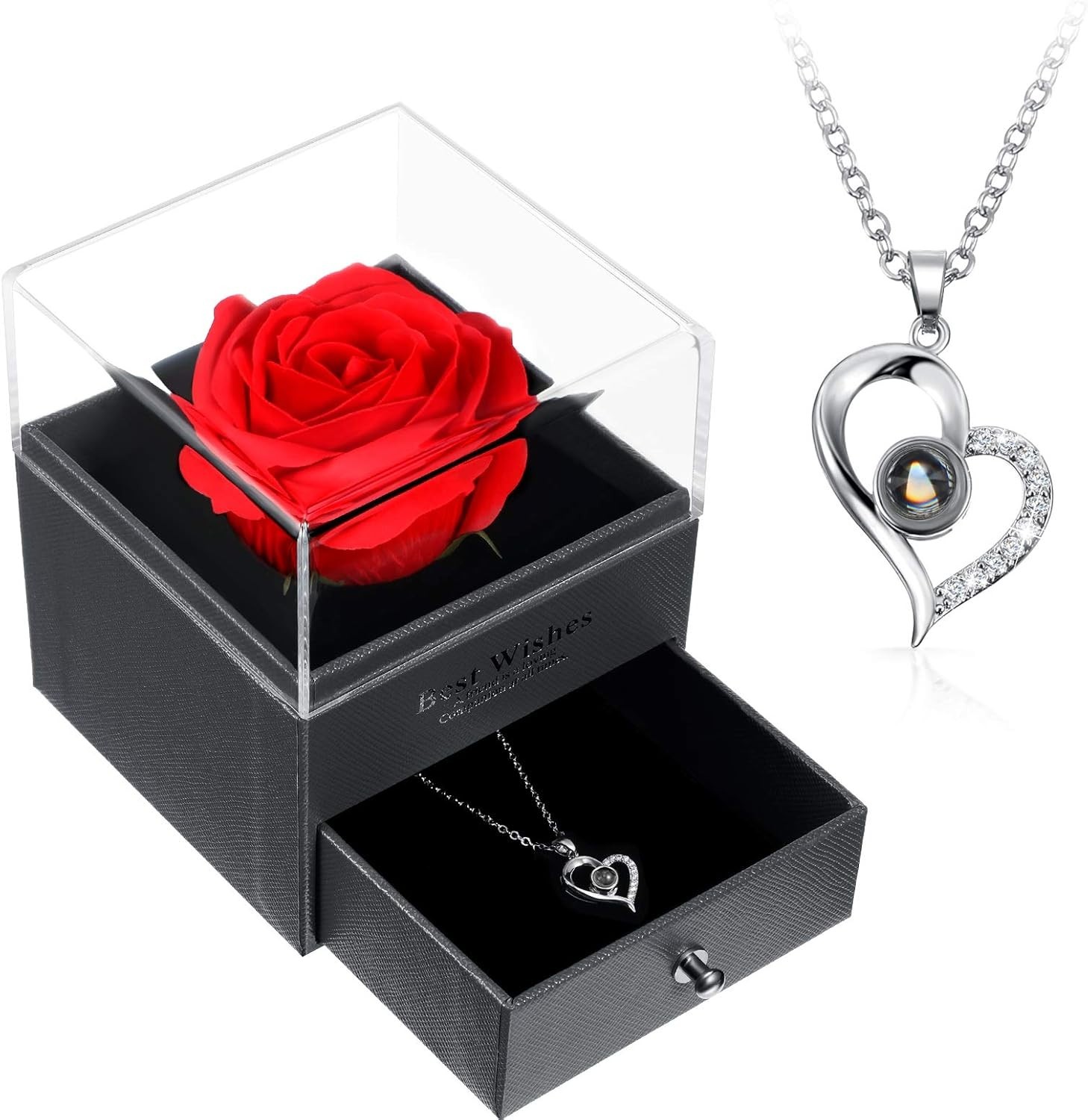 Hicarer Valentine Necklace Gift for Girlfriend I Love You in 100 Languages Proje