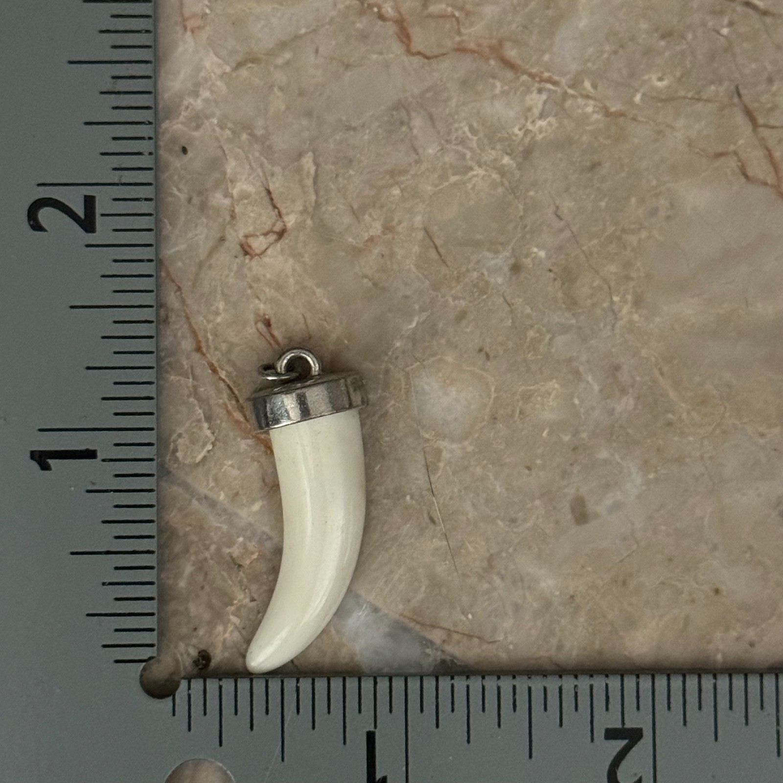 Ivory Color Tooth Tusk Charm Pendant Silver Tone Cap Approx 1.5 in