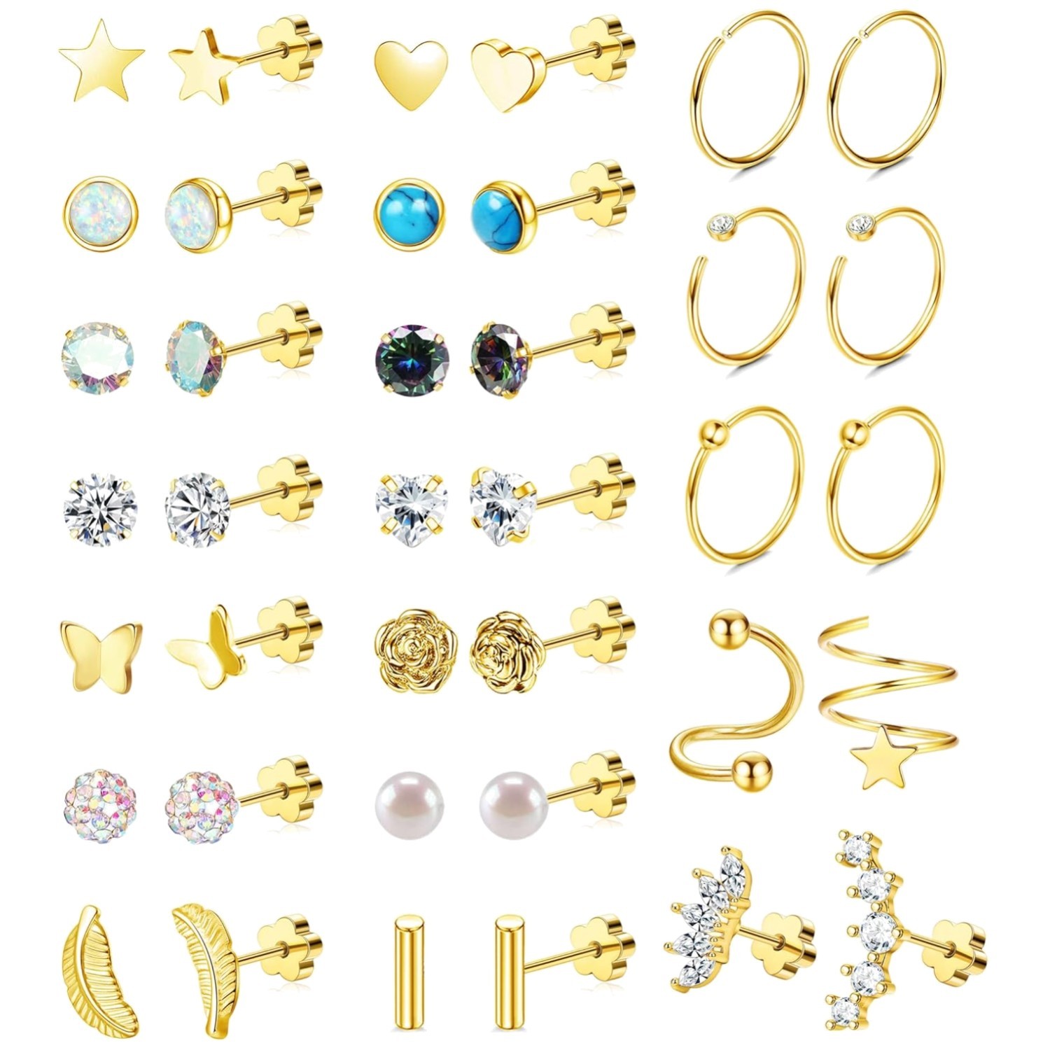 21 Pairs Surgical Steel Earrings Collection