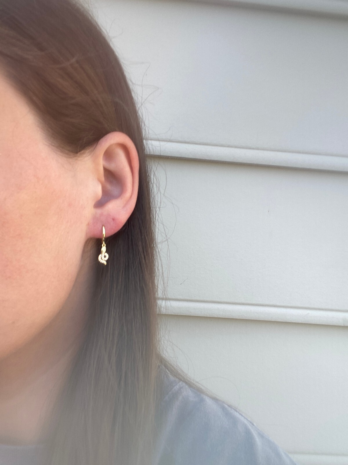 Diamond Snake Dangle Huggie Hoop Earrings