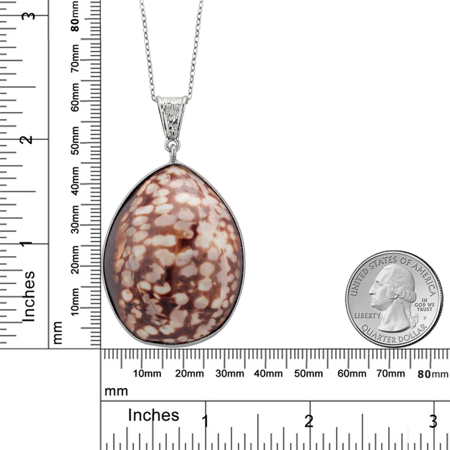 49X34MM Beautiful Brown Simulated Shell Pendant with 18 Inch Chain