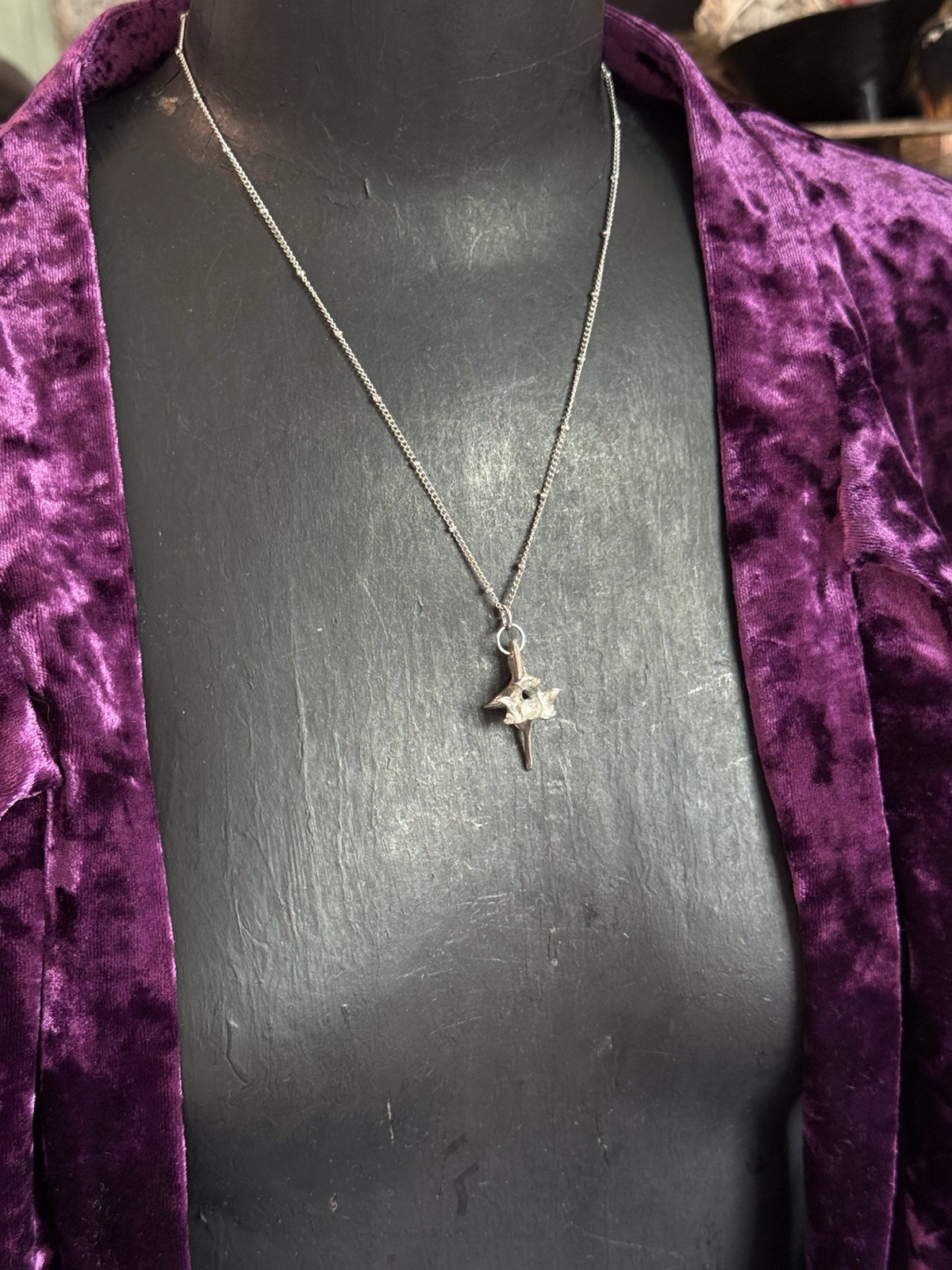 Rattlesnake vertebrae pendant necklace witchy oddities necklace gothic jewelry
