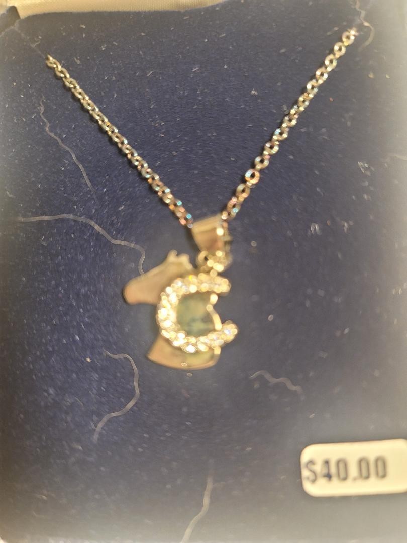 Montana Silversmiths Horse Head Horseshoe Charm Necklace Crystal NIB
