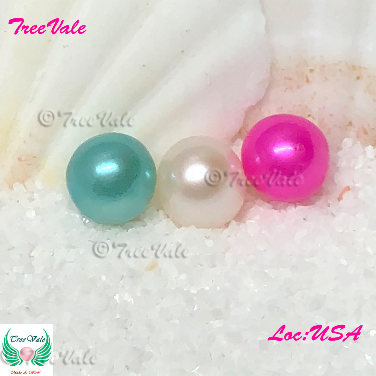 Five Individually Wrapped Akoya Oysters with Large Pearls