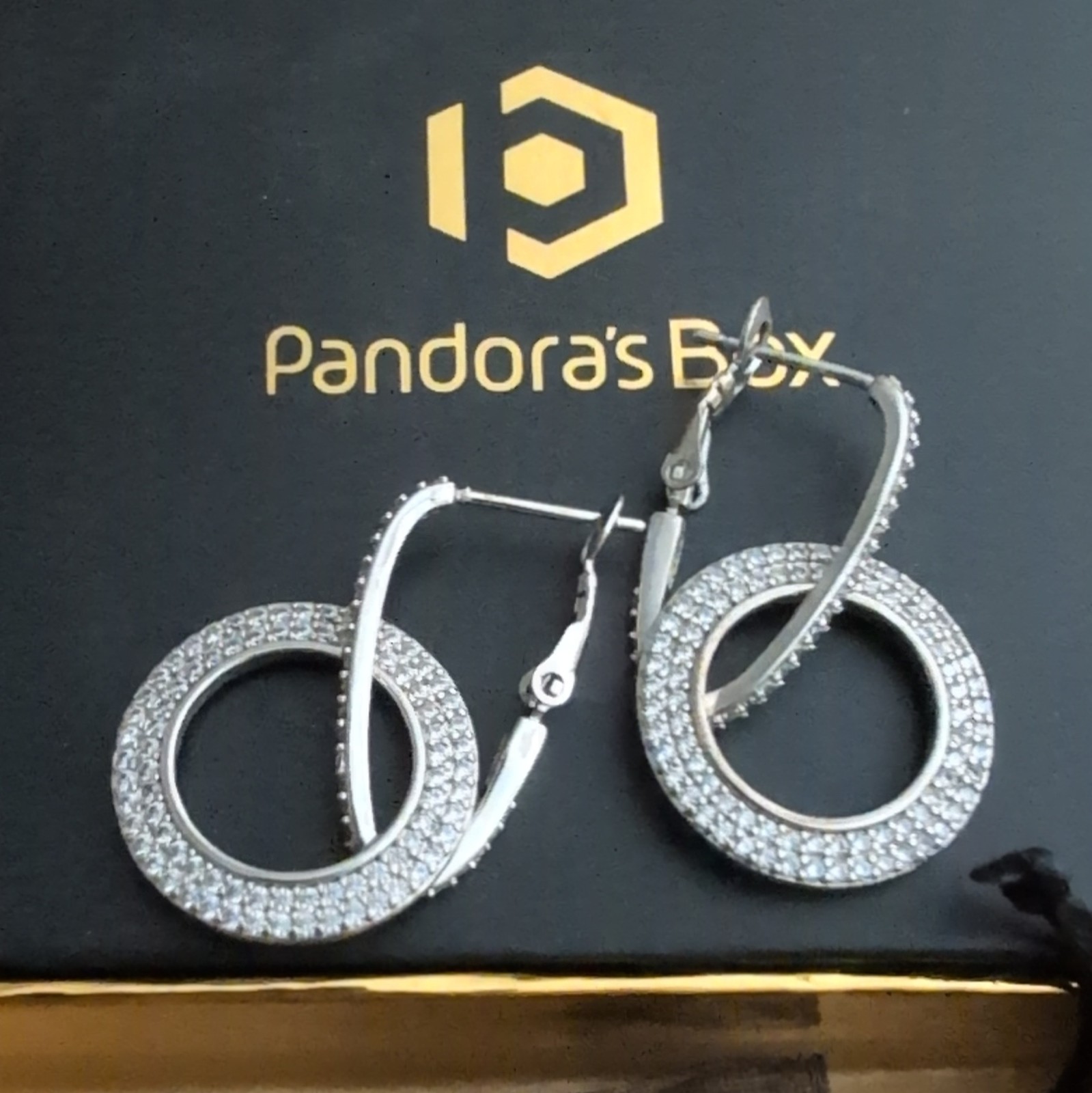 Pandora’s Box Beautiful Silver Earrings