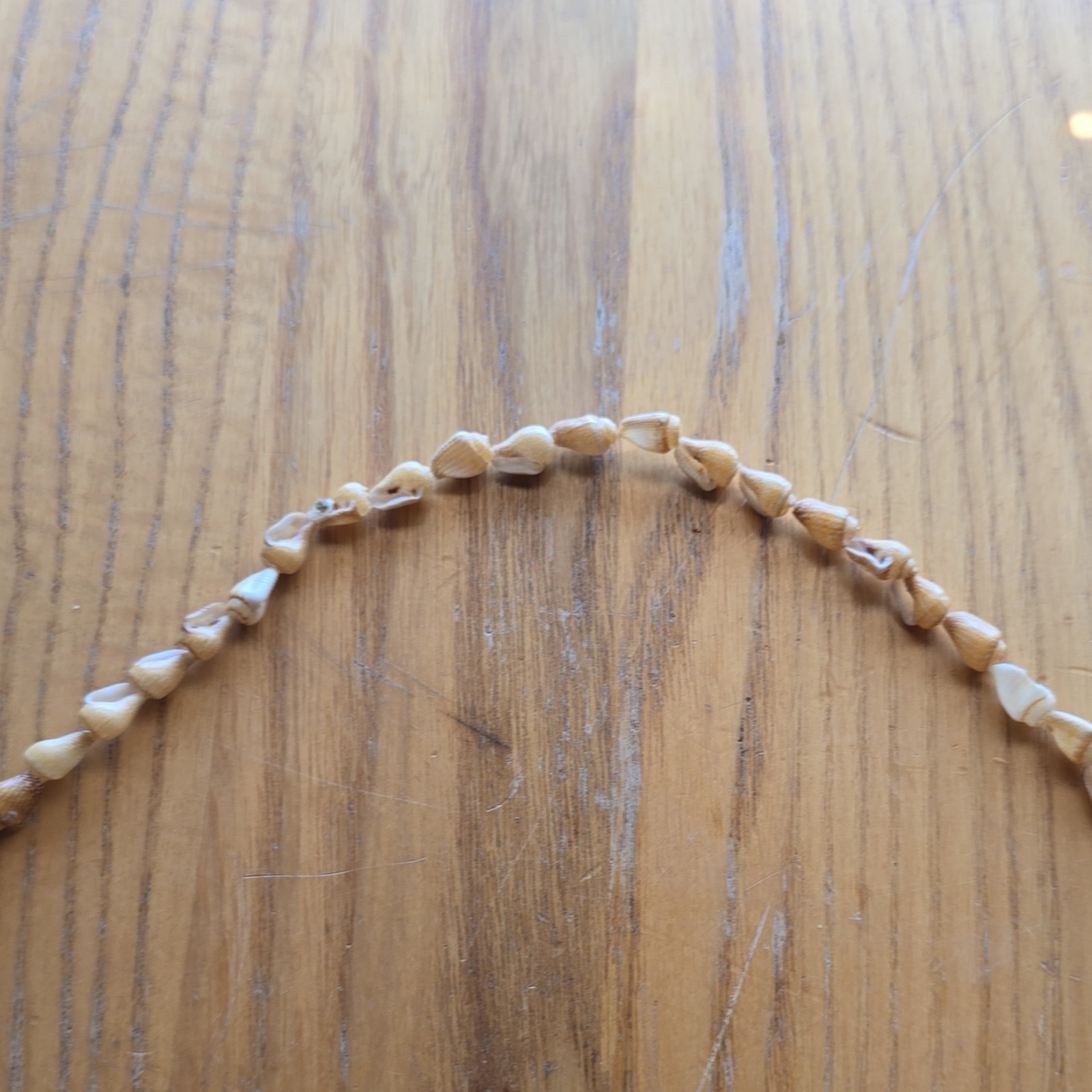 Beige Shell Beaded Necklace Beach Theme Ball/Bead Chain No Stone