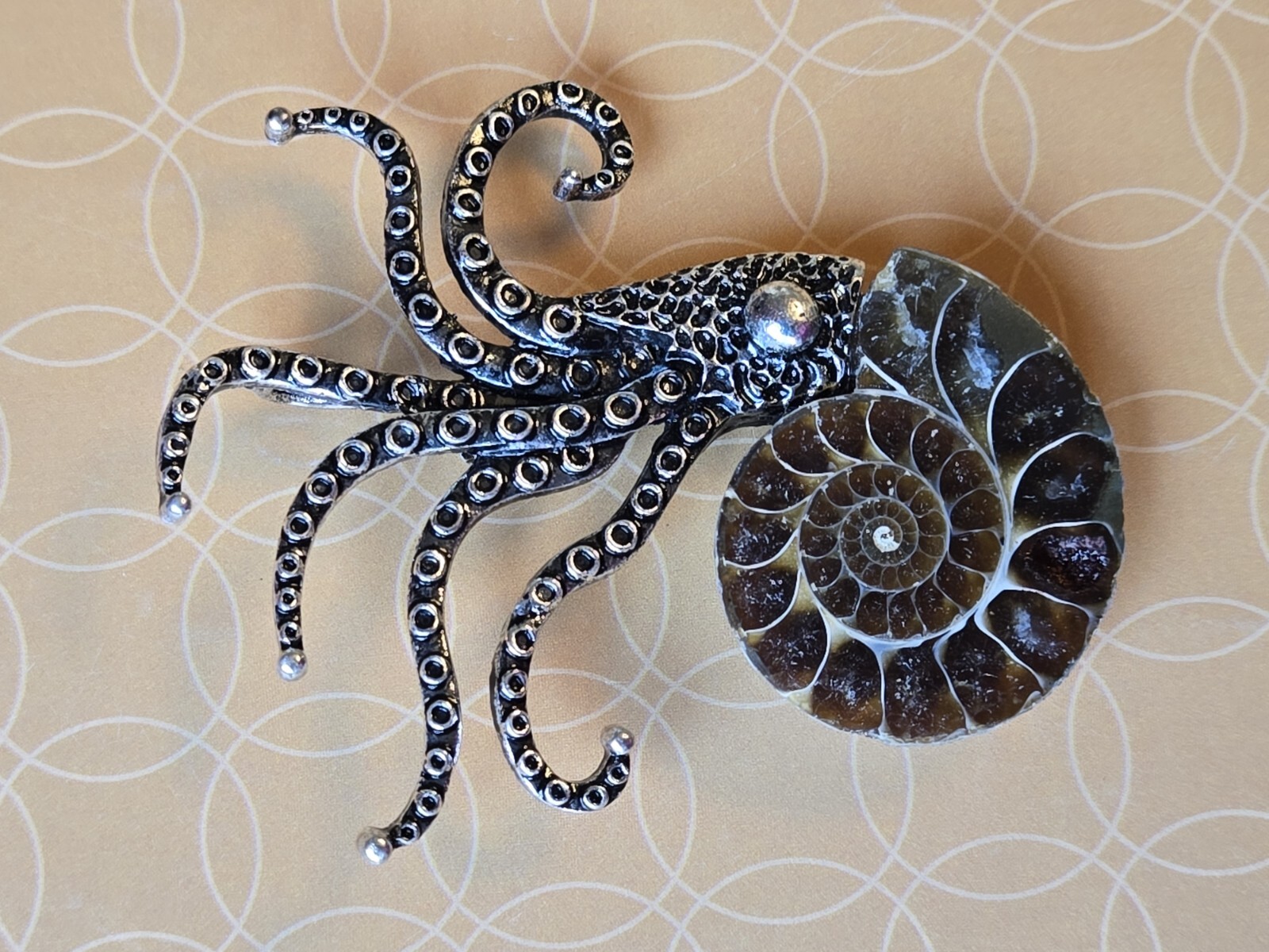 Ammonite Fossil Squid/ Octopus/ Kraken Pendant Brooch 20″ 316L Stainless Chain
