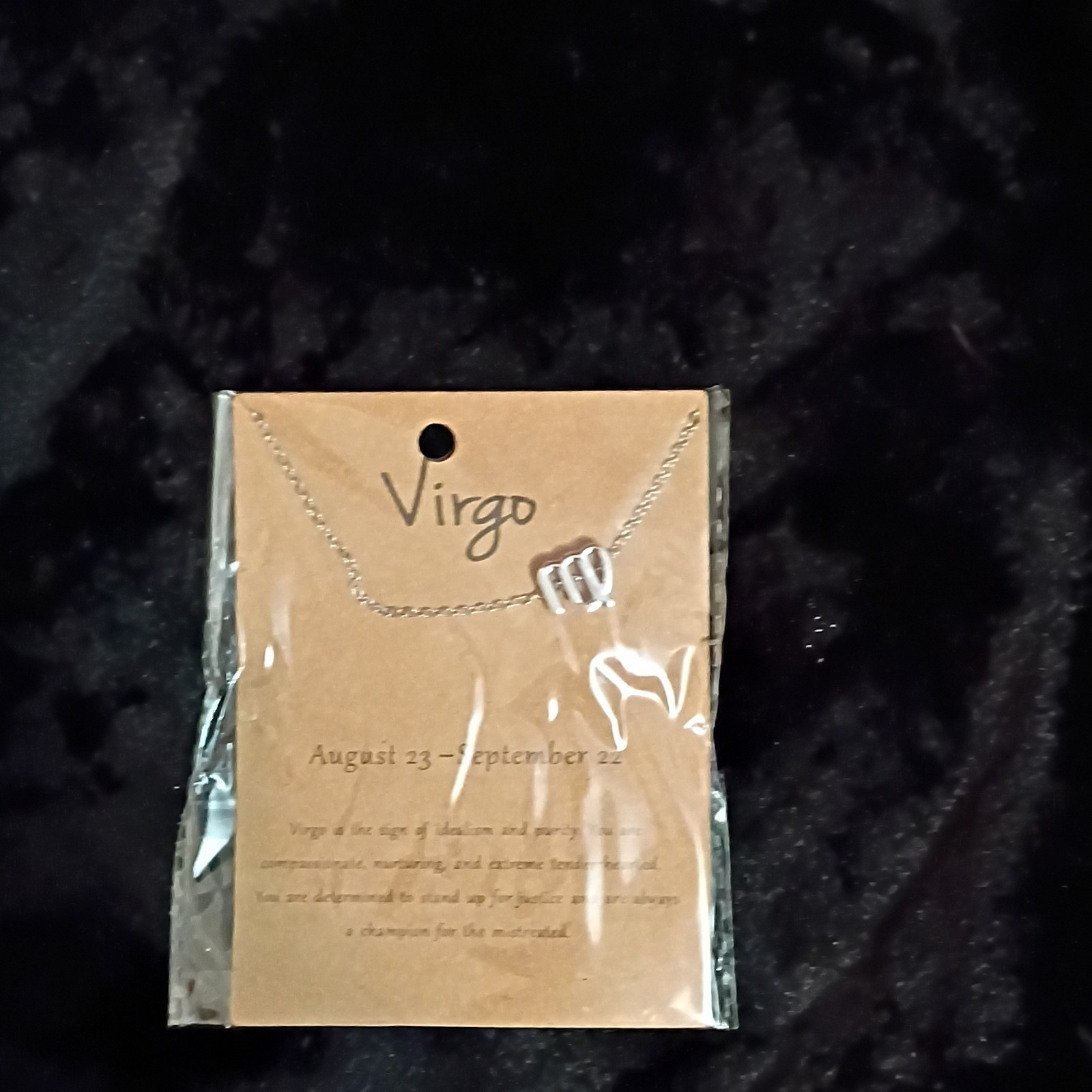 Virgo Zodiac Symbol Charm Pendant Necklace Silver Tone Metal Cable Chain