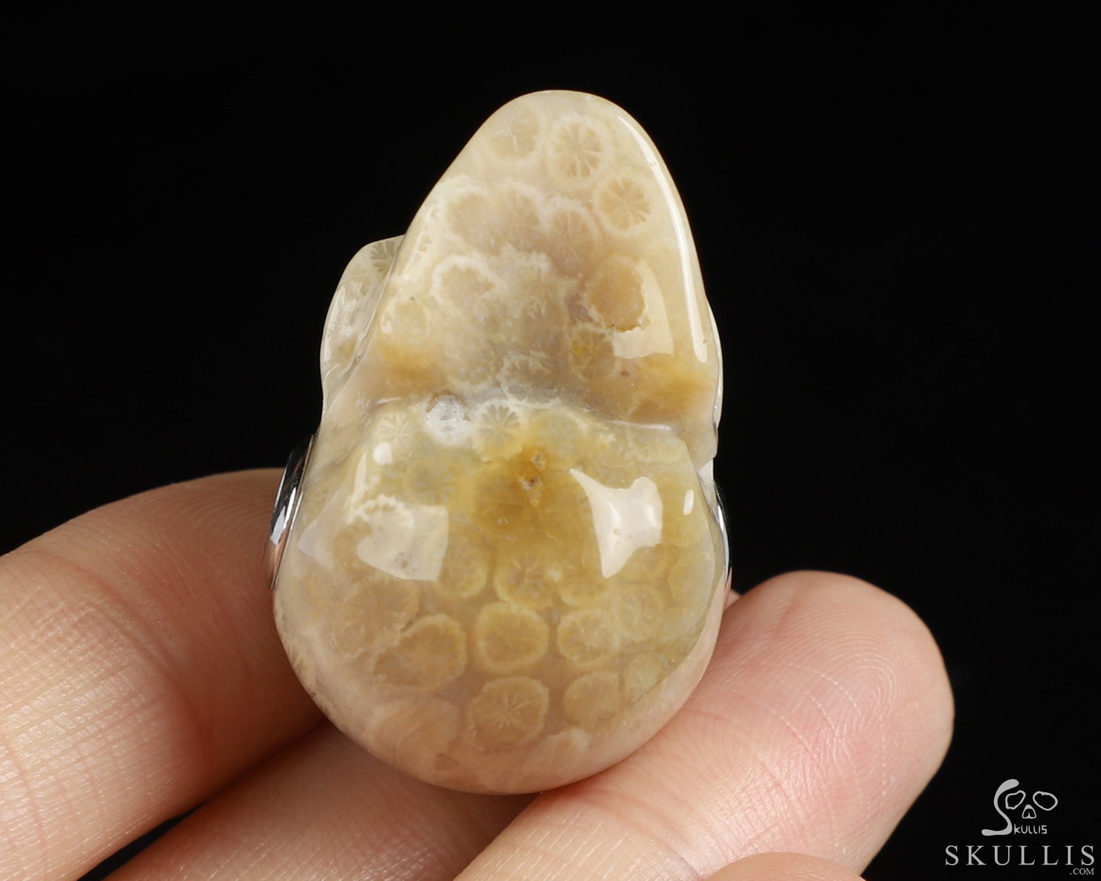 Necklace of 1.1″ Coral Fossil Hand Carved Crystal Skull Pendant, Skull Jewelry