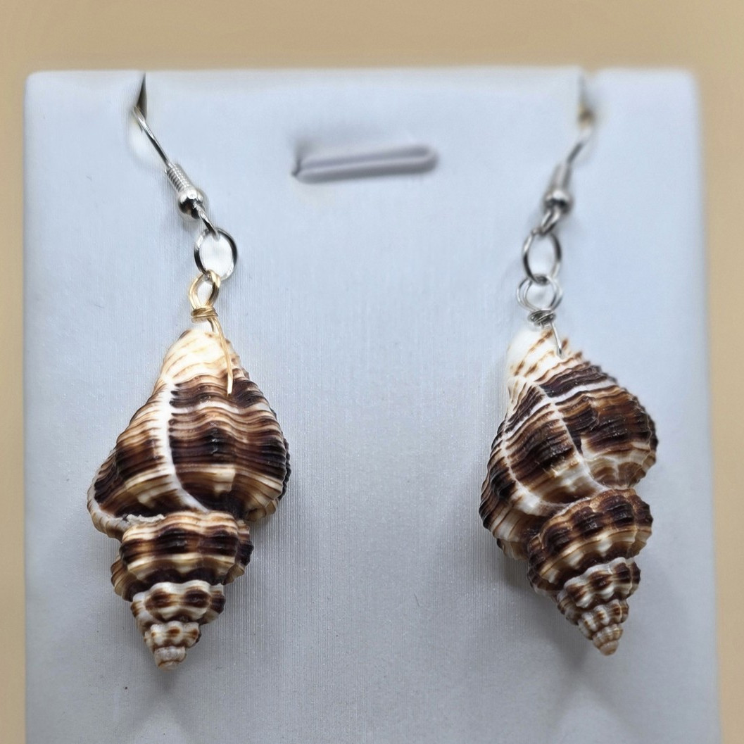 Natural Shell Dangle Drop Hook Earrings Brown/White Beach Sea Life Theme