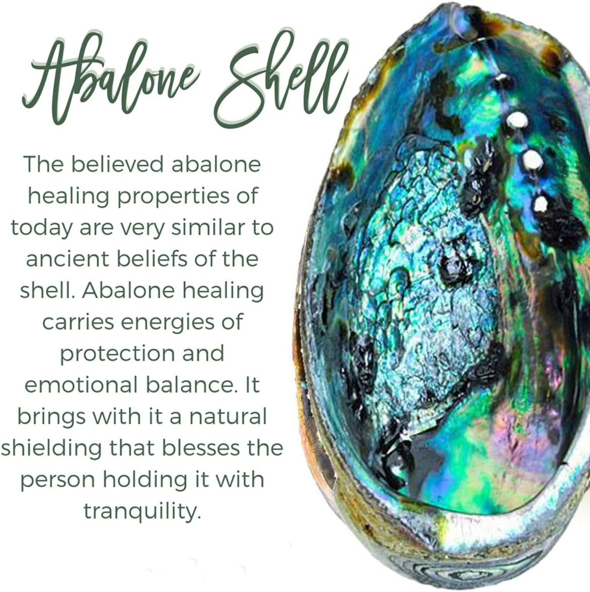 Tear Drop Abalone Shell Pendent Necklace Wire Wrap Abalone Shell Tree of Life Pe