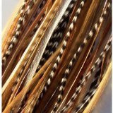Feather Hair Extension Beautiful Natural Remix 6-12 Feathers for Hair Extension