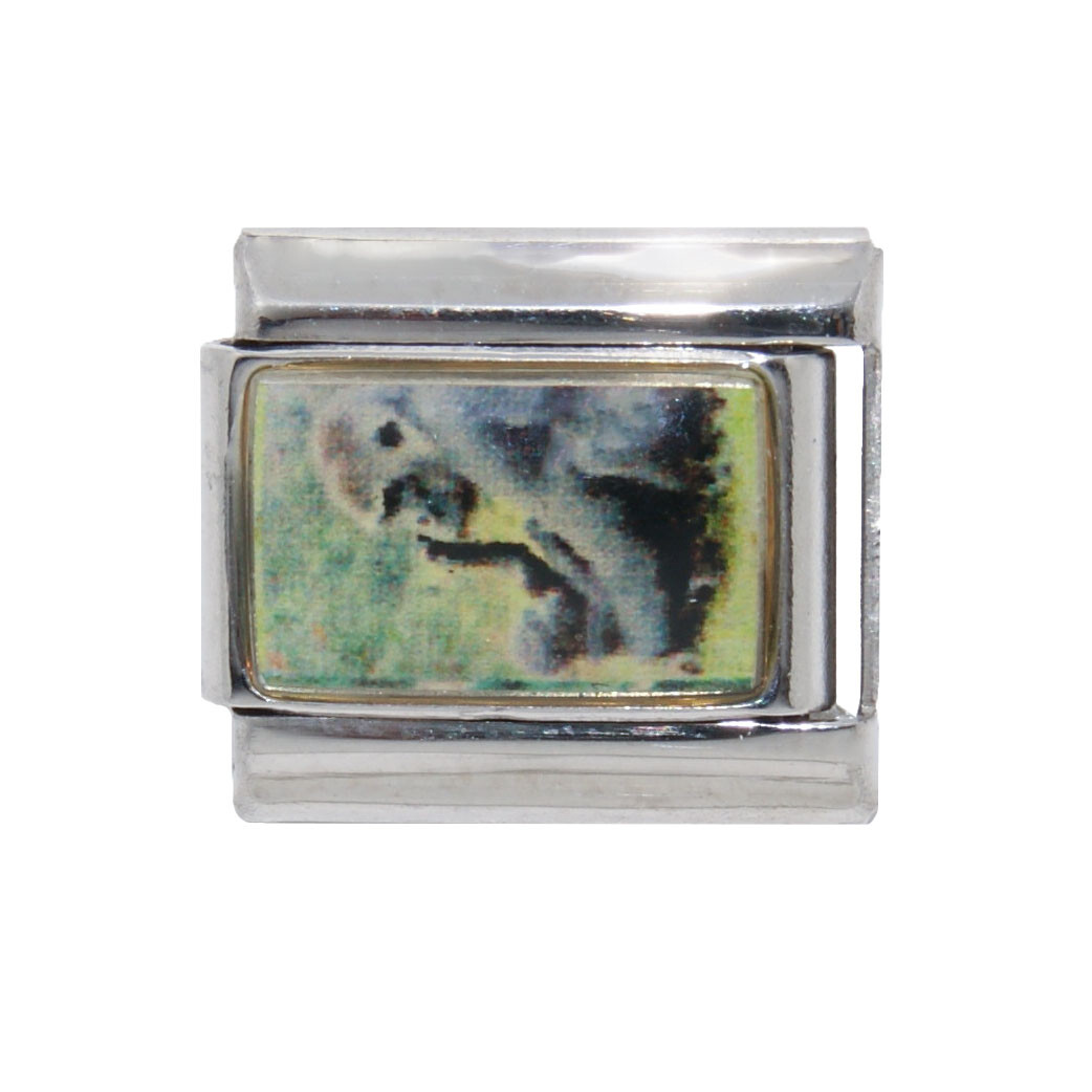 Gorilla and baby photo Italian Charm – fits 9mm classic Italian charm bracelet