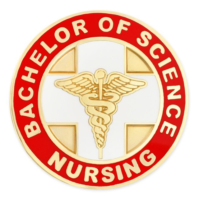Bachelor of Science Nursing BSN Lapel Pin Gold Plated Nurse RN Caduceus Gift
