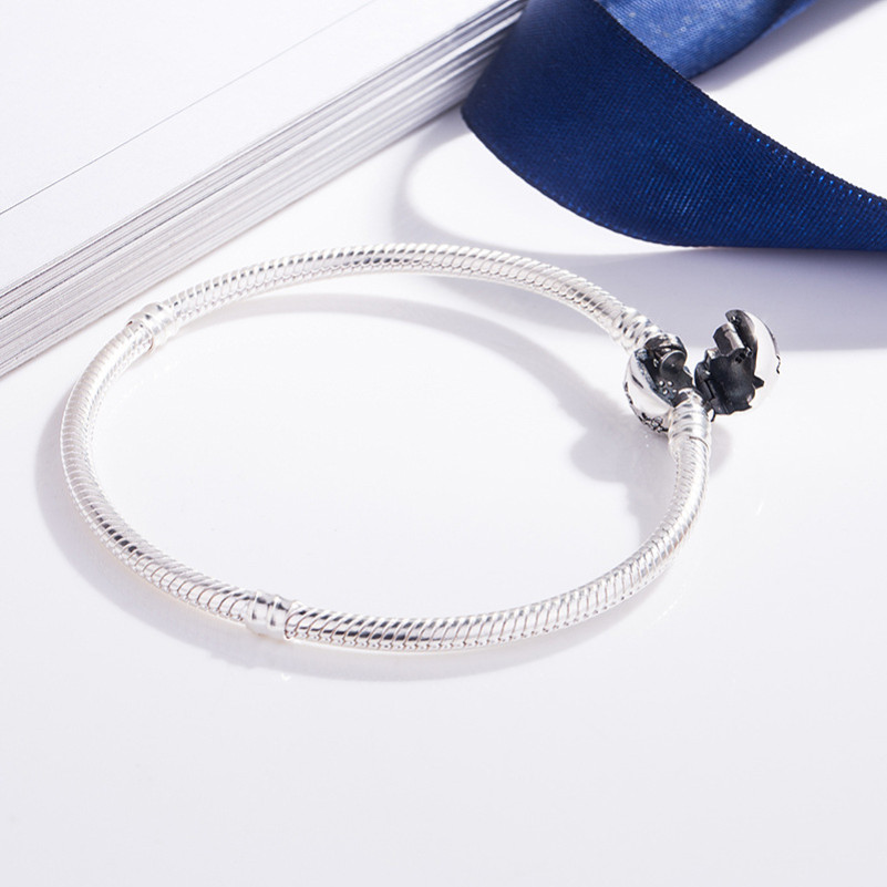 Winter Snow S925 Silver Bracelet Chain Bangle For European silver Charms Beads