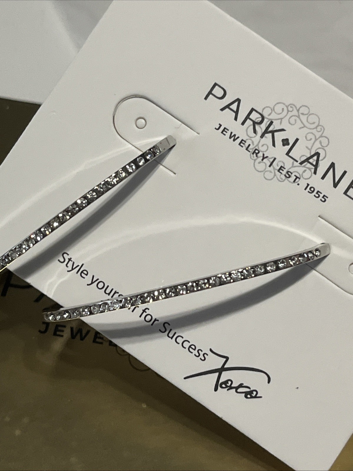 Park Lane Silver Tone Lulu Necklace & Earrings Set – January 2023 Sparkle Box