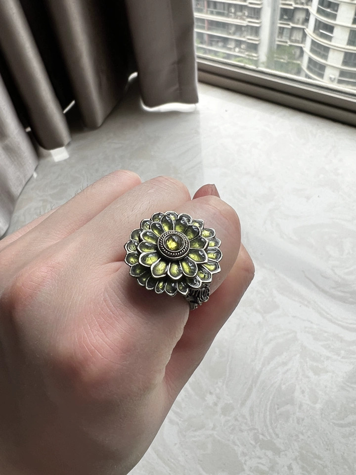 Dark souls Game Ring Cloranthy Ring Video Game Cosplay Adjustable Size
