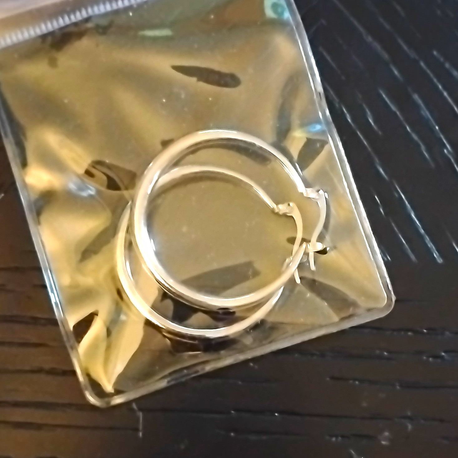 Sterling Silver Plated Round Metal Hoop Earrings Hinged Hoop Closure Pair