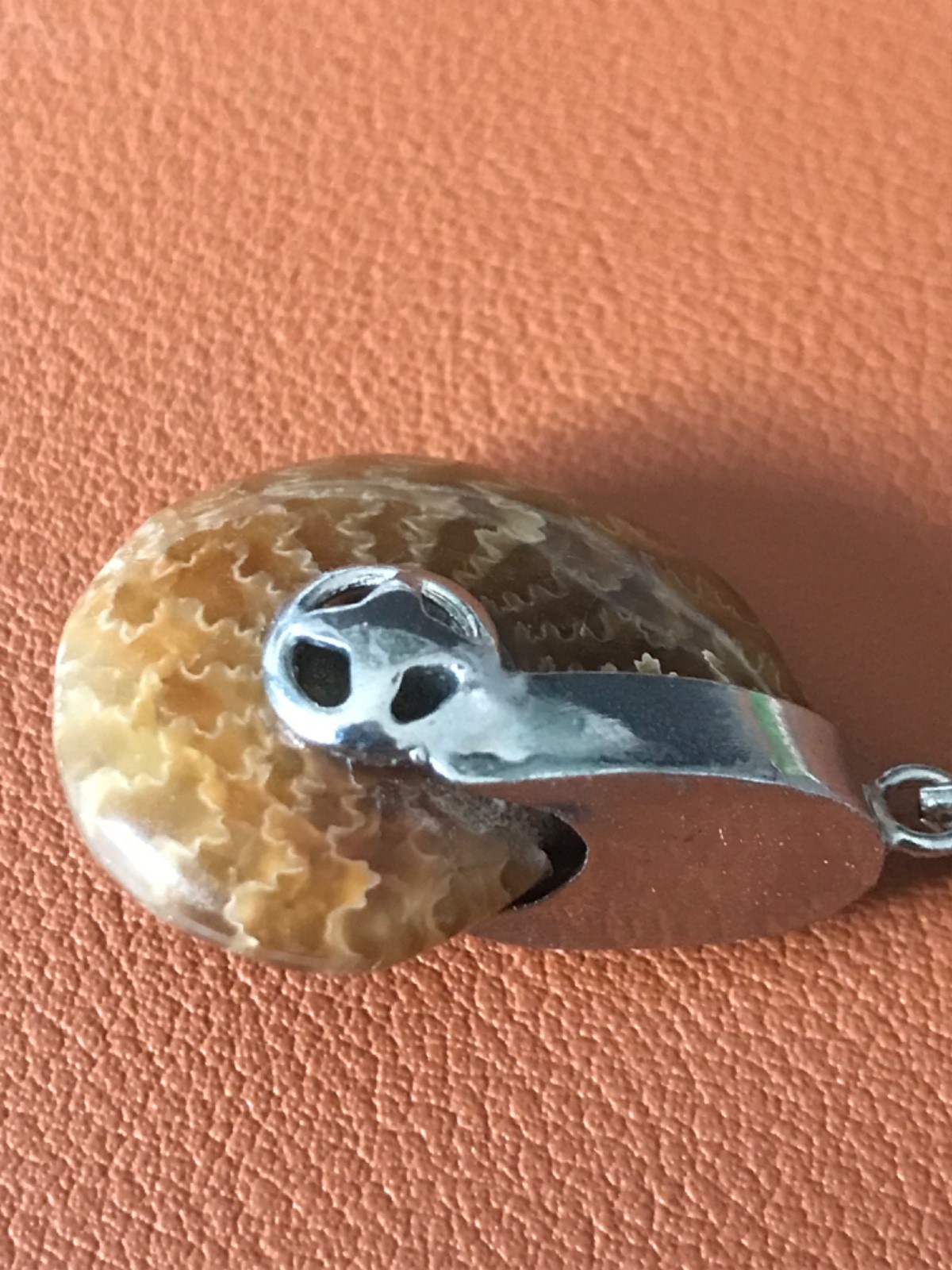 Ammonite Fossil Spiral Pendant WITH Necklace – Polished Prehistoric Shell