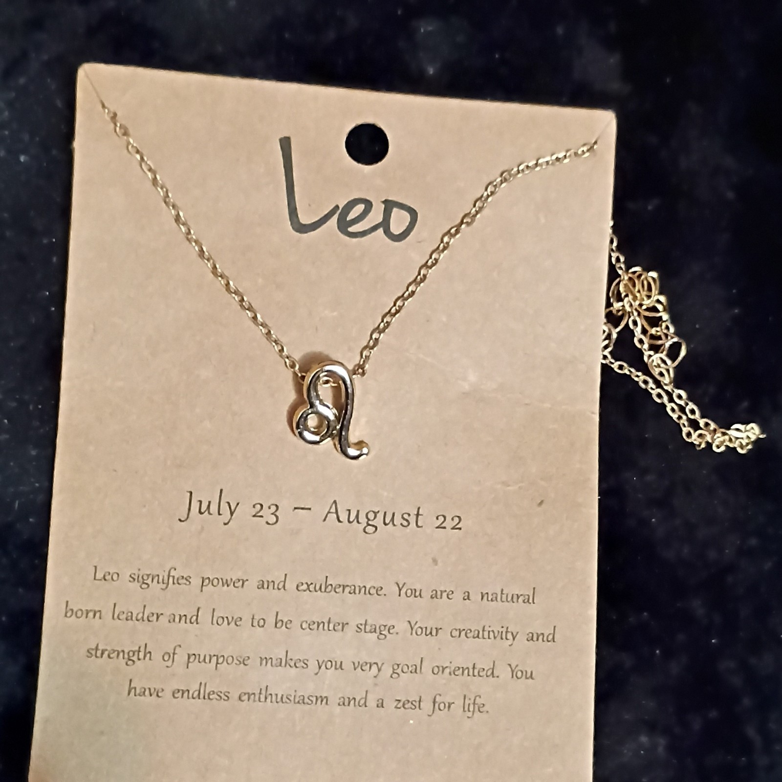 Leo Zodiac Symbol Charm Pendant Necklace Gold Tone Metal Cable Chain