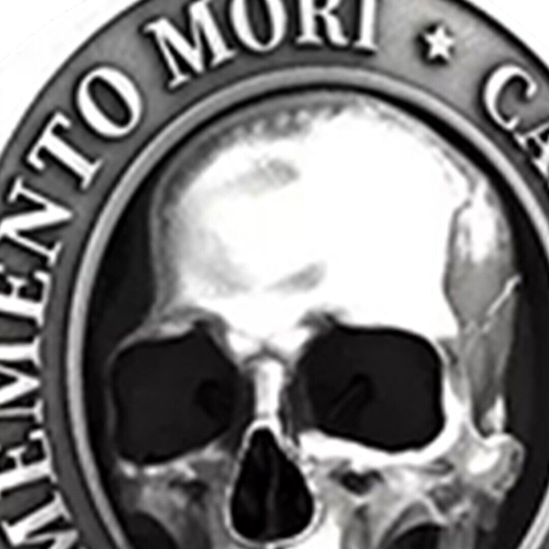 Memento Mori Skull Silver Skull Necklace Stainless Steel Chain Pendant Retro~