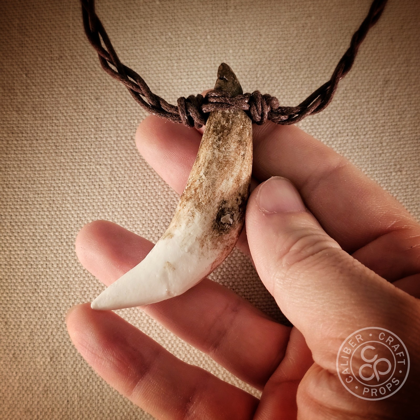 Prehistoric Wolf Fang Necklace Pendant Cast Resin Over 3″ long! Spartan Leonidas