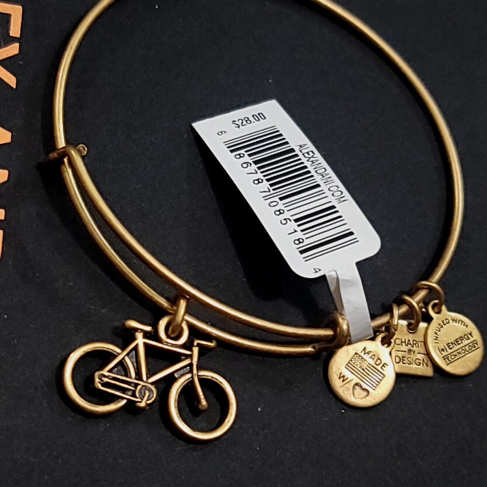 Alex and Ani Bike Charm Bracelet Charity By Design Bicycle