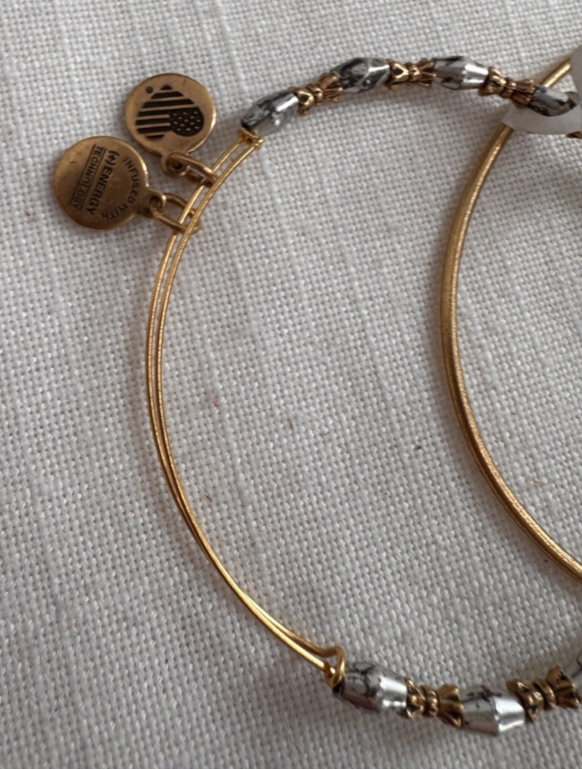 Alex and Ani Gold Oval Sphinx Charm Sliding Bangle Bracelet Set SEE PICTURE! NWT