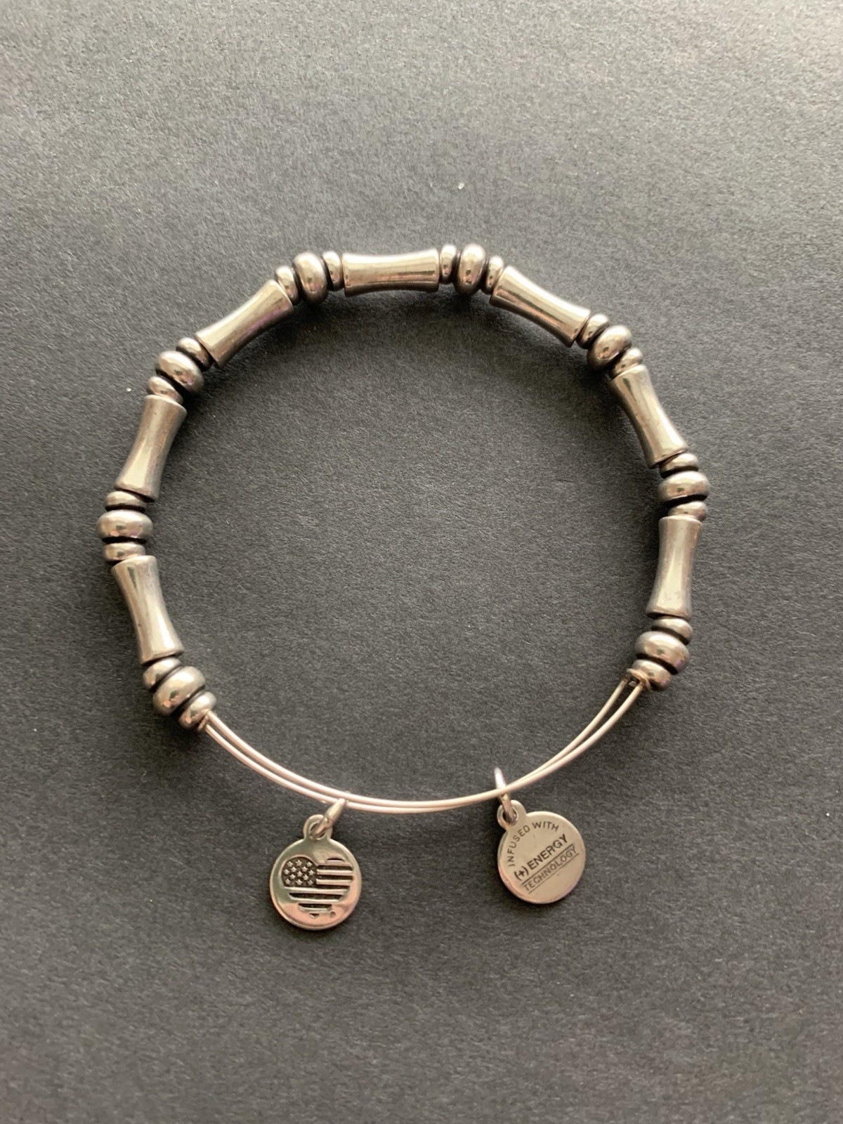Alex and Ani Silver Alaska Bangle Bracelet with Charms