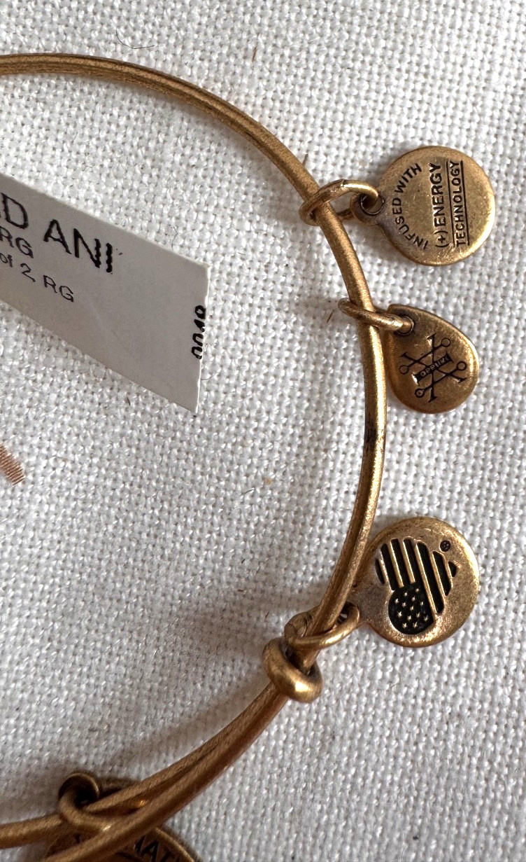 Alex and Ani Gold Oval Sphinx Charm Sliding Bangle Bracelet Set SEE PICTURE! NWT