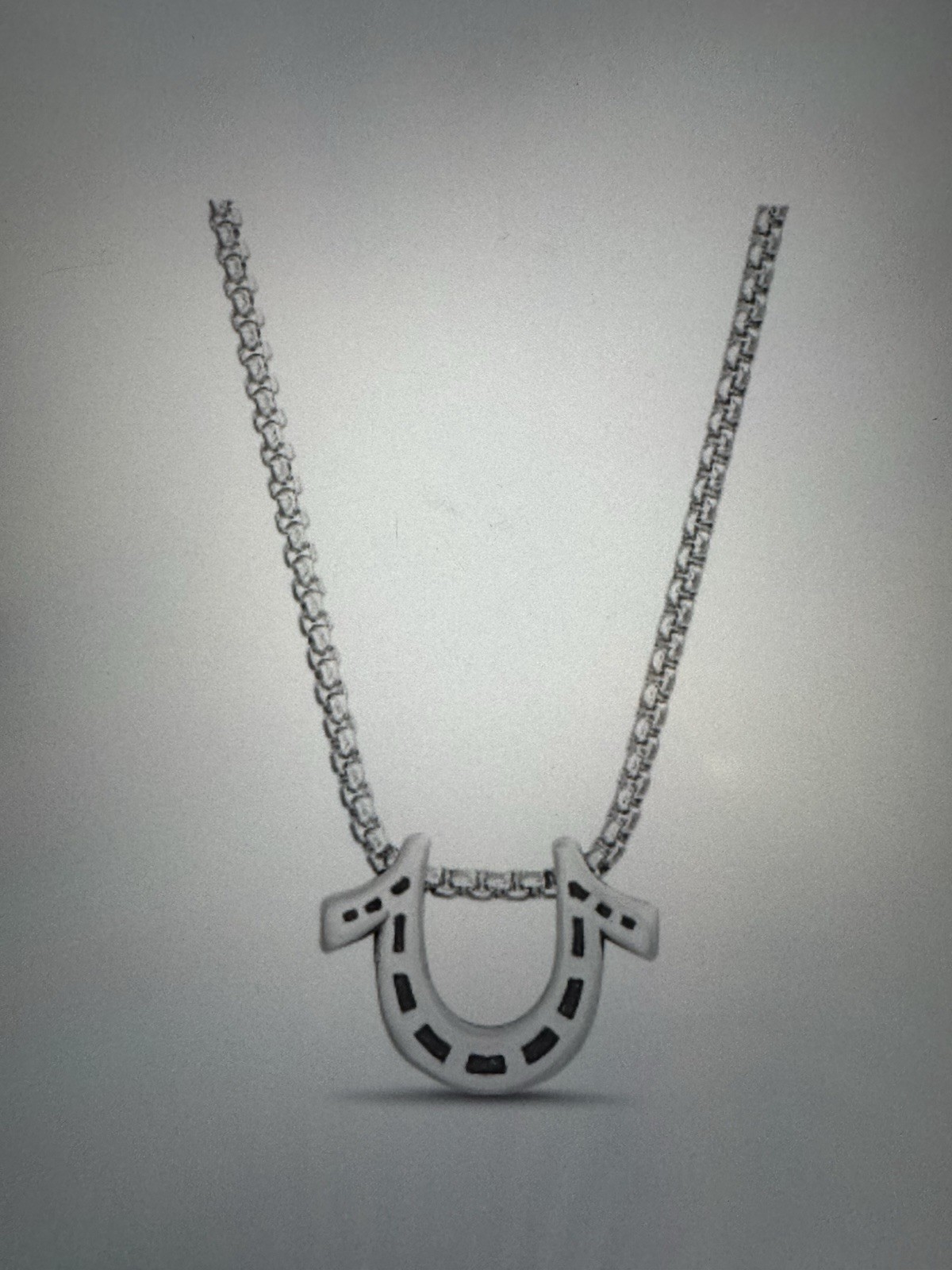 True Religion Horseshoe Pendant 22 Inch Long Rolo Chain Necklace for Men