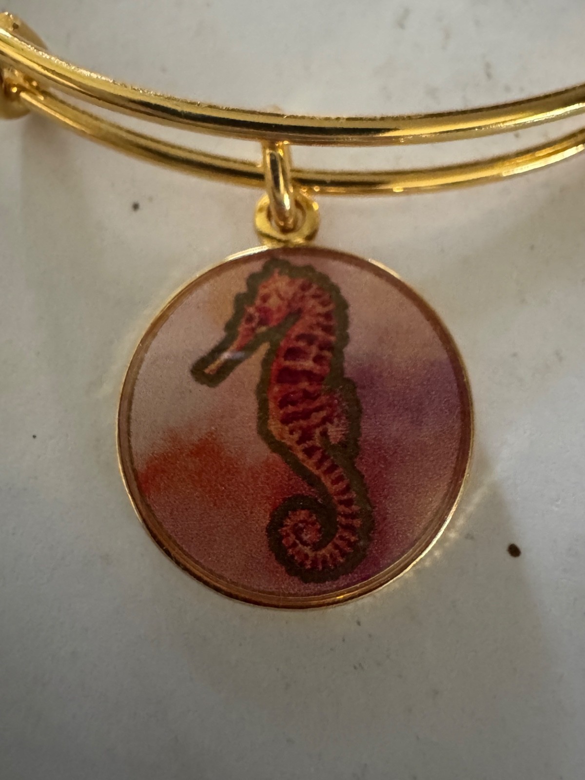 Alex and Ani Seahorse Charm Bracelet Gold Tone Protection One Size