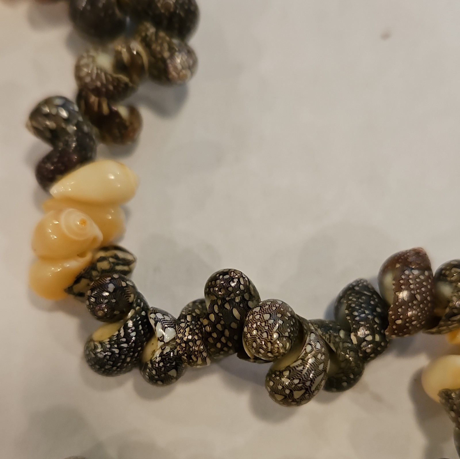 Black & Cream Natural Shell Chip Beaded Necklace, Bead Chain, Nature Theme