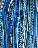 4-6 True Blues & Grizzly Genuine Rooster Feathers for Hair Extension-5 Feathers!