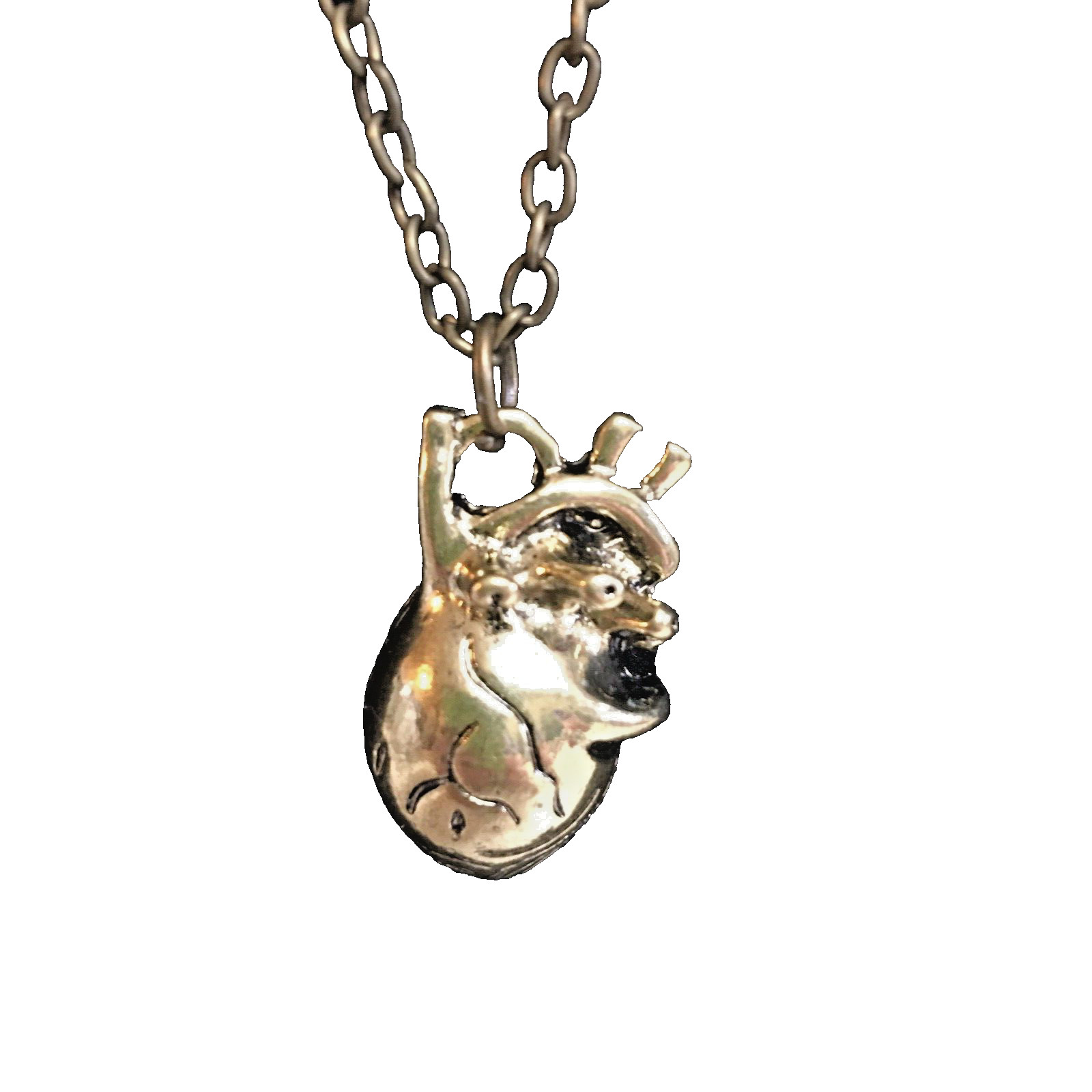 “ANATOMICALLY CORRECT HUMAN HEART” 20″ NECKLACE & Red Gift Bag Mother’s Day