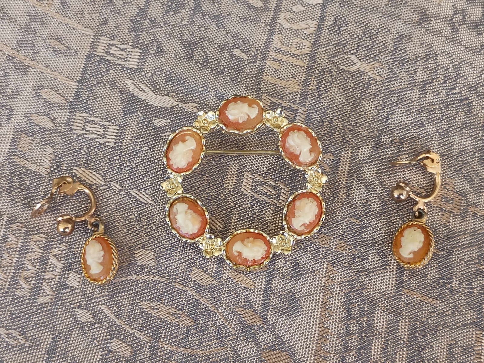 Gold Tone 6 Cameo Circle Pin and Cameo Screw Earrings 💥Best Offer 💥