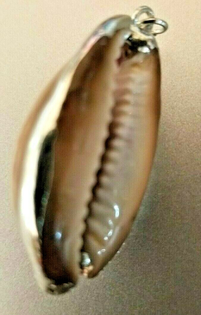 Cowrie Sea Shell Pendant for Necklace Bohemia Ocean Beach