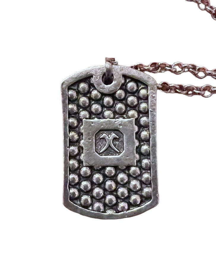 3D Skull Dog Tag Shape Pendant ( 1 1/4×3/4 Inches) On 22” Stainless Steel Chain