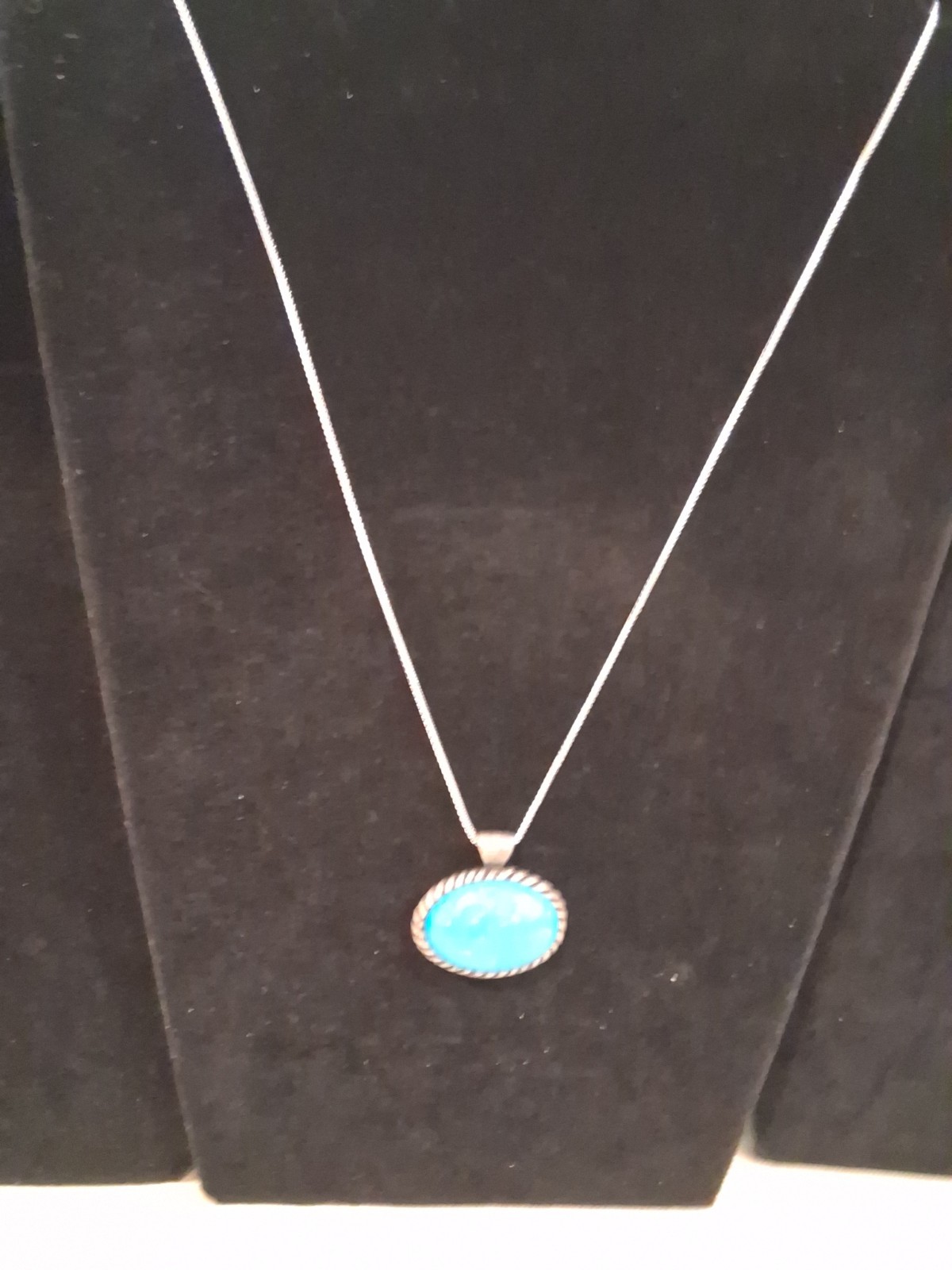 Classic 1″ Blue Howlite Pendant, Bezel Rope Design,18in Silvertoned Box Chain