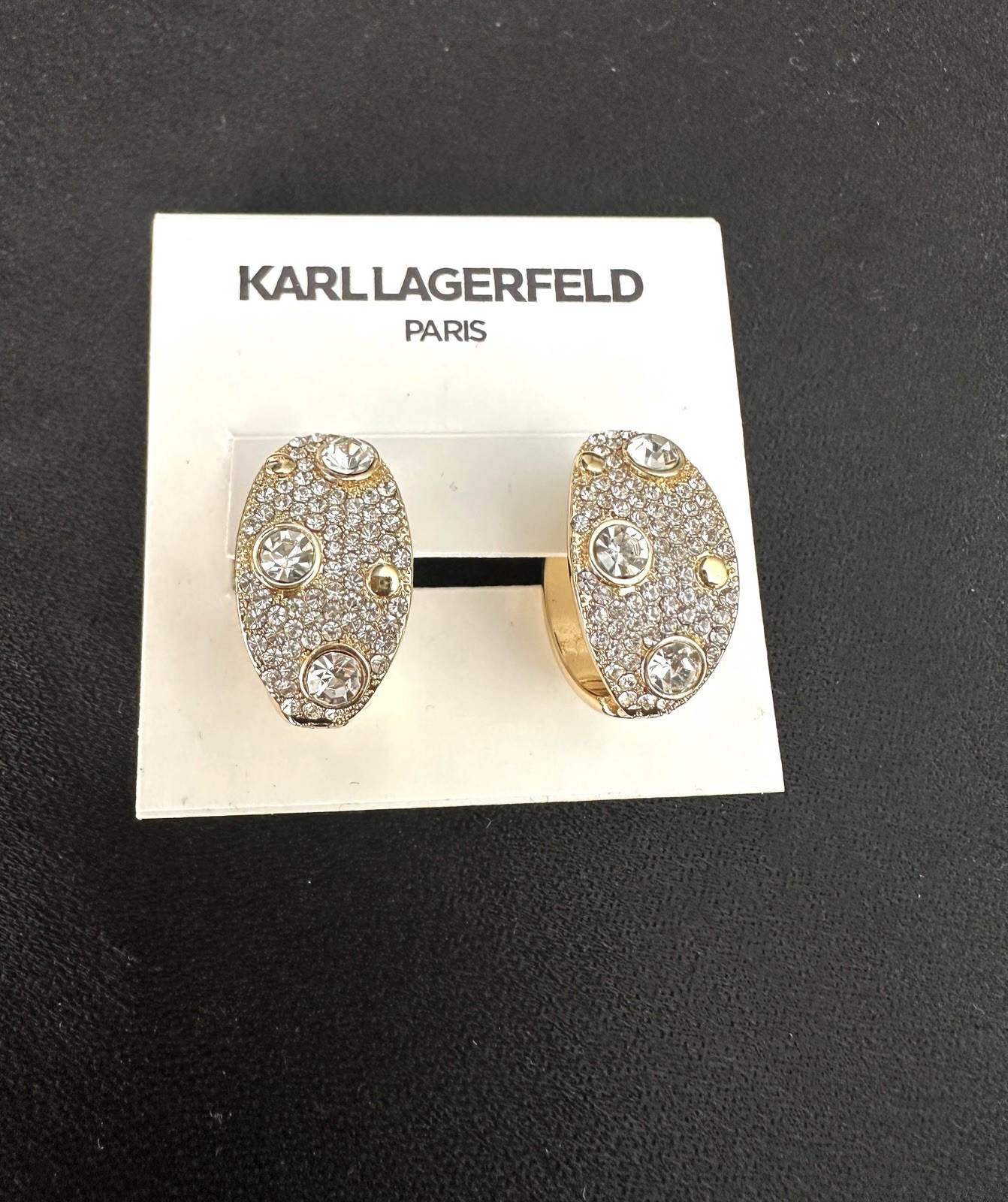 Karl Lagerfeld Crystal Pave Hoop Earrings