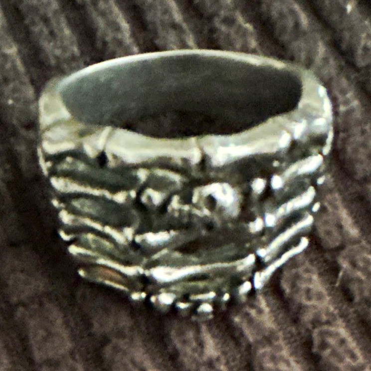 Edforce Stainless Steel Silver Tone Skull Skeleton Band Ring Size 9 No Stone