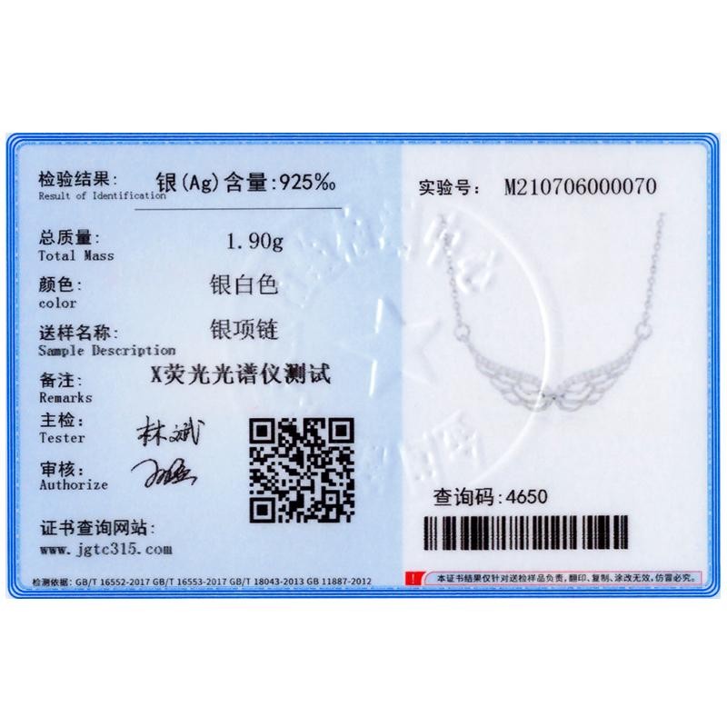 Ailmay 925 Silver Angel Wings Pendant Necklace CZ Classic Women Jewelry